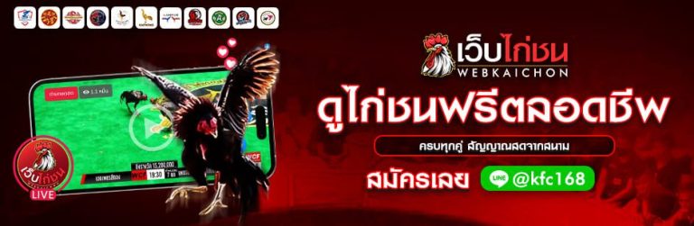 2-ดูไก่ชนฟรี