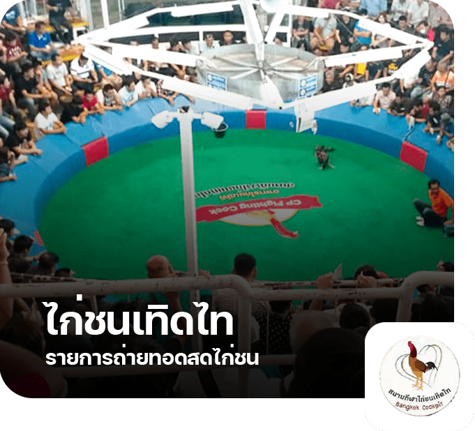 8.สนามไก่ชนเทิดไทย